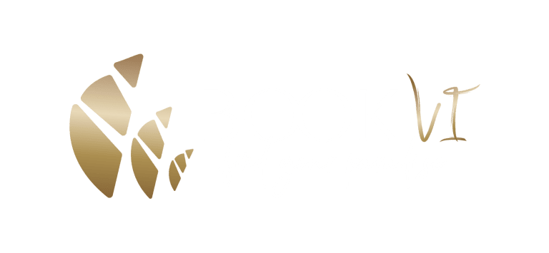 BookVI Logo #93 Horizontal Gold On Transparent Background A